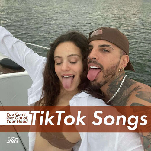 TikTok songs you can't get out of your head mp3 download